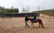 Collina Jeździectwo i behawiorystyka zwierząt