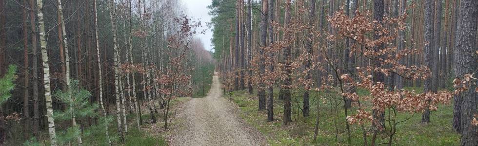 Dobrzeń Wielki