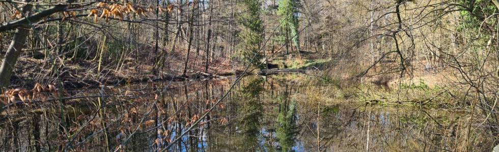 Sobótka - Będkowice - Park Wenecja - przełęcz Tąpadła - Ruina Browaru