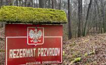 Rezerwat Przyrody Strzałowo