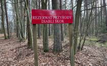 Rezerwat przyrody 