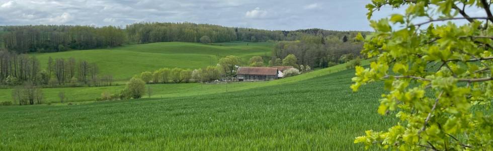 Ryn Reszelski-Kolno-Wysoka Dąbrowa-Unikowo-Ryn