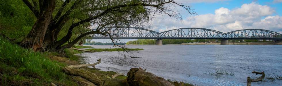 Toruń - Bydgoszcz przez Las Ostromecki