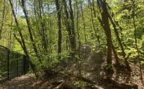 II przystanek - tajemnicza górka na skraju lasu