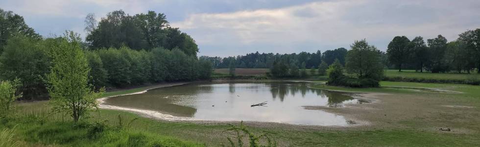 Przez goczałkowickie Bory.