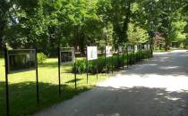 Tablice informacyjne w parku Sławskim