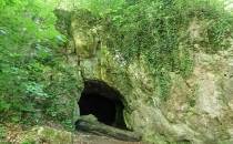 Jaskinia Grota Niedźwiedzia w Złotym Potoku