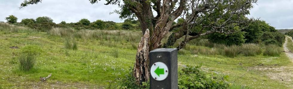 Old Curragh Road (Green  trail)