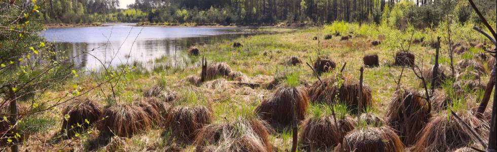 ekajaki.pl polecają :Trasa 7: Jeziora Chośnickie 27km