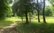 Markowo -  pałac Dohnów park