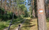 Wejście do lasu od ul. Modrzewiowej