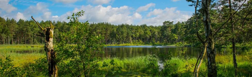 Lębork - Łeba przez Czarne Bagno i Bagna Izbickie