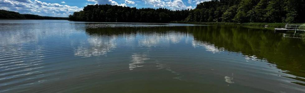 Kosarzyn Borek - Żary Dol. Łużce18.06.2024, 14:47