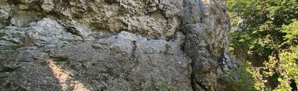 Trasa 13.07.2024, 16:42 szlak orlich gniazd Ogrodzieniec- Morsko- Podlesice