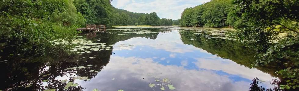 Turtul , Staw Turtulski - Dolina Czarnej Hańczy