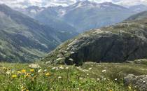 Widok z przełęczy Grimselpass na trzytysięczniki m.in. Piz Rotondo