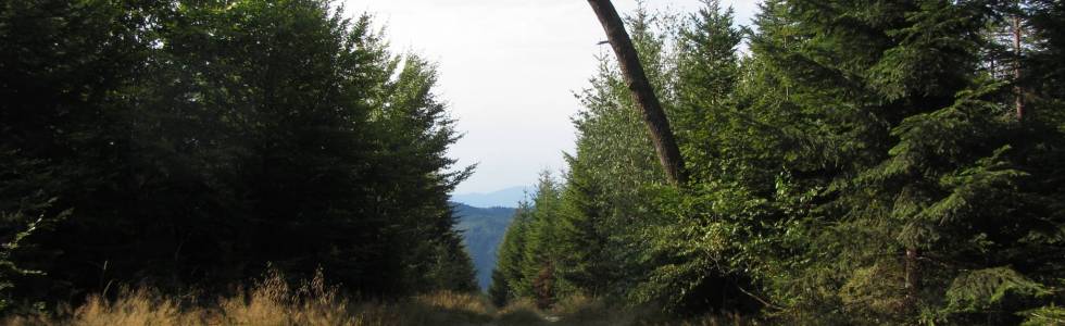 Beskid Mały - Kocierz, Kiczera, Hrobacza Łąka