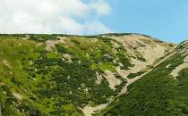 Panorama przyszczycia góry Karkonoś 1422m