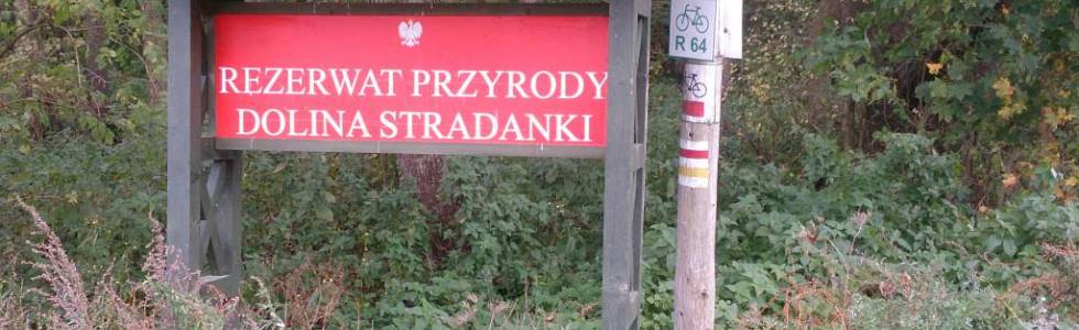 Rajd po Wysoczyźnie Elbląskiej