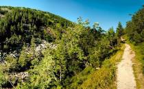 Veberowa cesta w Wąwozie Bialej Łaby widok na Srebrne Nawisy