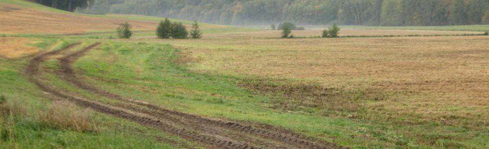 Pętla mała Bynowo Boreczno Piekło Jaśkowo nr  11