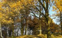 Wzgórze na którym stał kościół i cmentarz z grobowcem hrabiego Pücklera.