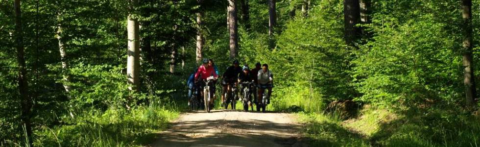 Niebieski szlak rowerowy z Barcina do Gołąbek