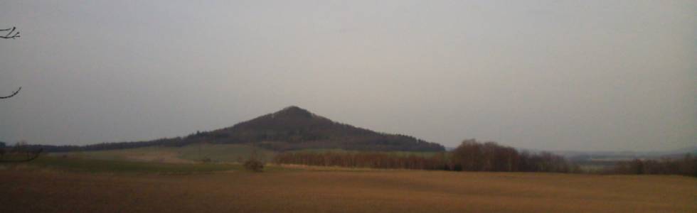 Bełczyna