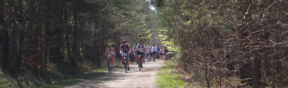 olkuskie szlaki rowerowe,rozpoznanie