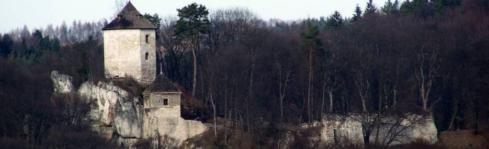 WYŻYNA KRAKOWSKO-CZĘSTOCHOWSKA - Dolina Prądnika, Zamek Kazimierzowski, Dolina Sąspowska