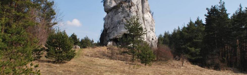 WYŻYNA KRAKOWSKO-CZĘSTOCHOWSKA - Ryczów - Ruiny Strażnicy Królewskiej, Grochowiec Wielki