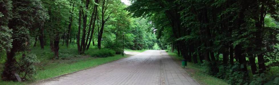 Trening po parku w Chorzowie 2015/6/10 16:53
