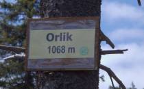 Orlik