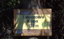 Jaworowa Kopa