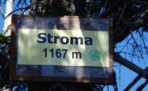 Stroma