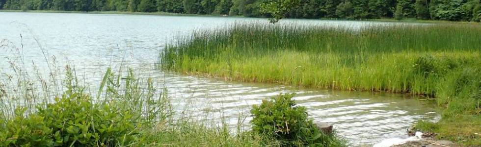 Wycieczka rowerowa nad Jezioro Głęboczko