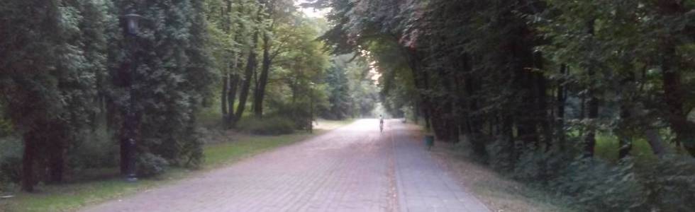 Trening po Parku w Chorzowie 04.08.2015