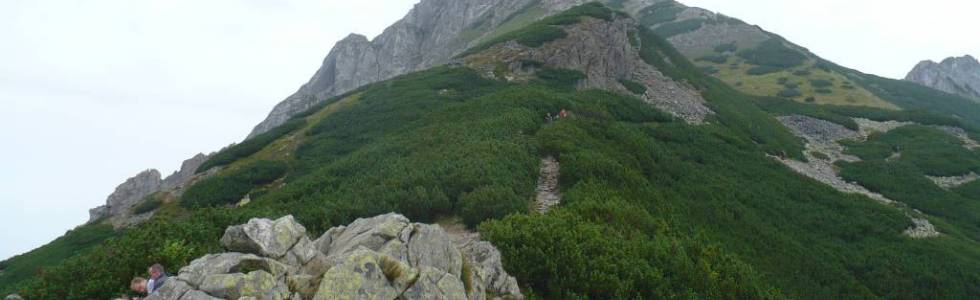 Kuźnice/Kalatówki/Polana Kondratowa/Kondracka Przełęcz/Wielki Giewont