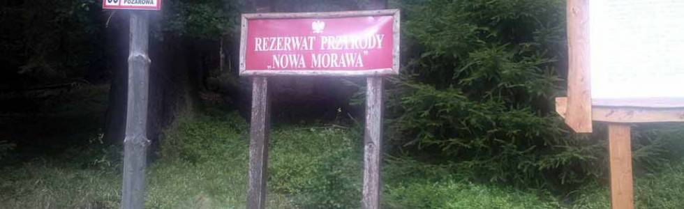 Do rezerwatu przyrody Nowa Morawa