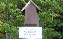 Mogielica - 1171 m n.p.m.