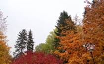 Twierdza Modlin jesienią malowana