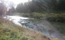Rzeka Przemsza