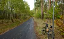 Nawierzchnia szlaku. Odcine wspólny z Green Velo