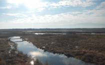 Widok na Narew