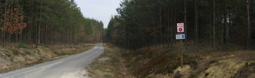Trasy rowerowe Mielec i okolice Trasa Nr 18 A  Tryptyk leśny część 2