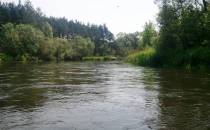 Rzeka Warta66