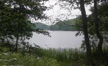 Jezioro Przywidzkie