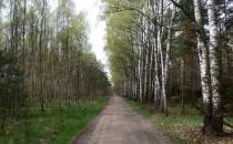 droga do leśniczówki Lemańsk