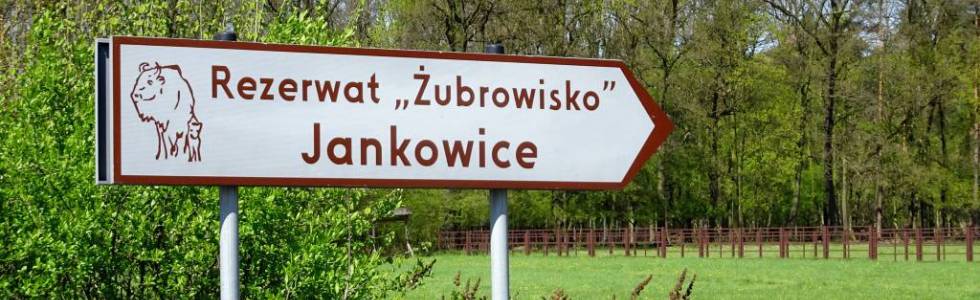 Rezerwat Żubrowisko - Brzeszcze - Żwirownia Kaniów.