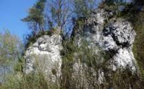 Wapienne skały w Dolinie Udorki